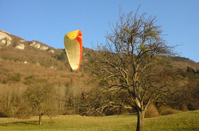 Large_thumb_20040315_lecoin