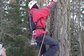 Large_thumb_20051230_2
